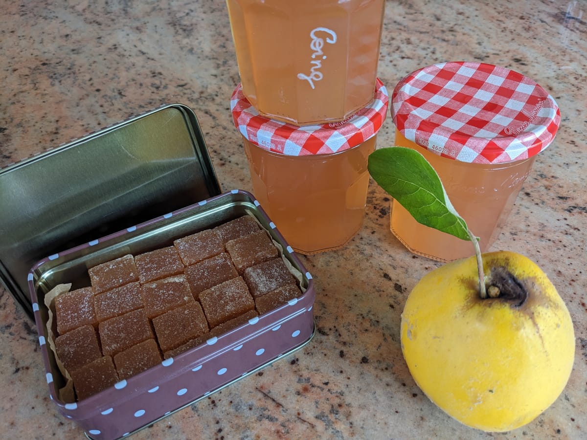 Gelée et pâte de coing